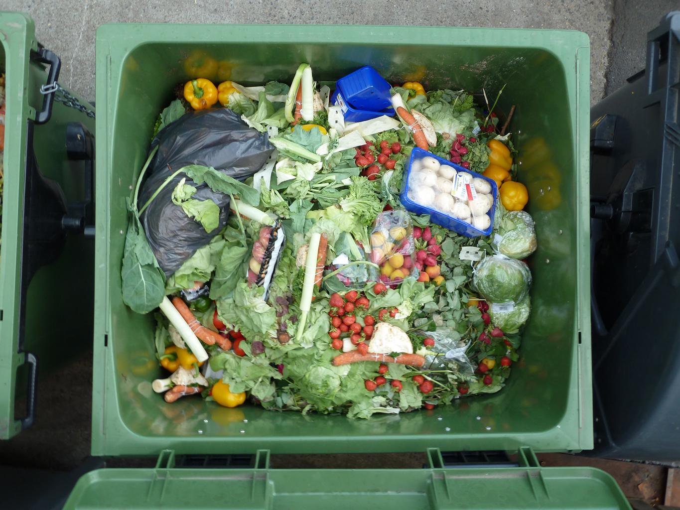 Do you make a conscious effort not to waste food?