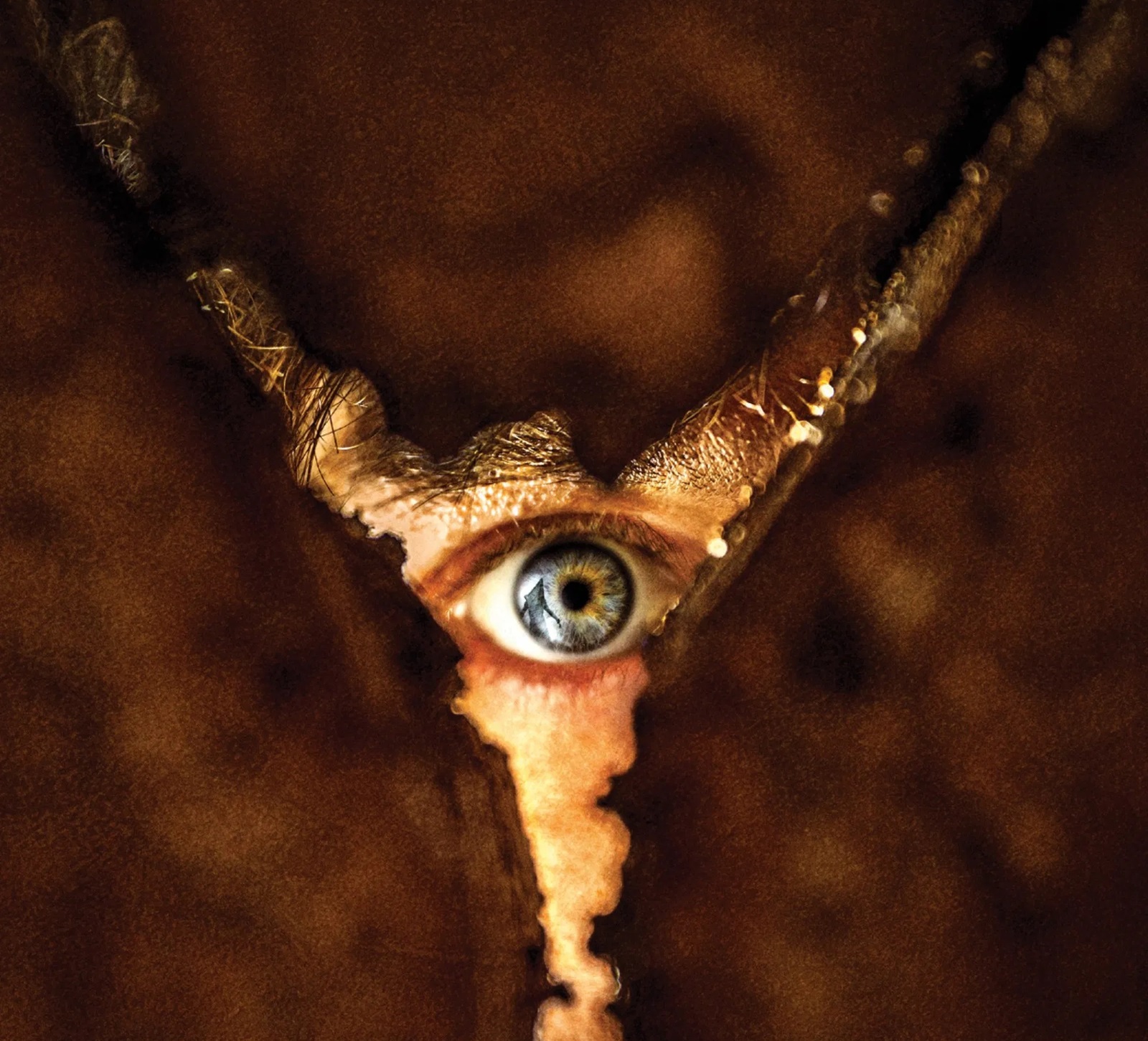 Was 'Return to Silent Hill' a good movie?