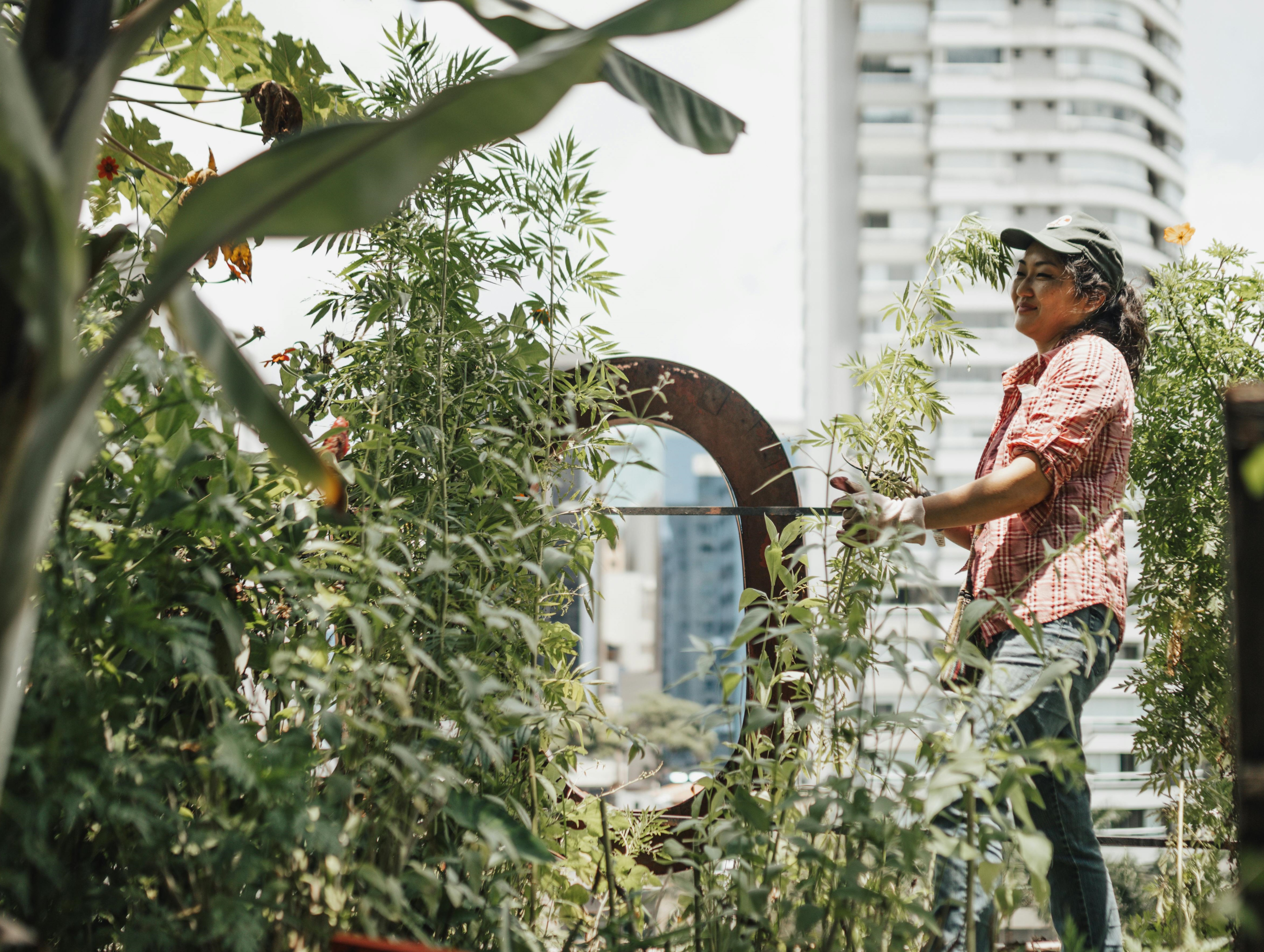 Do you think urban farming can help solve the world's hunger problem?